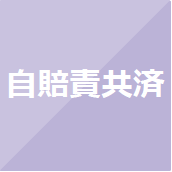 自賠責共済